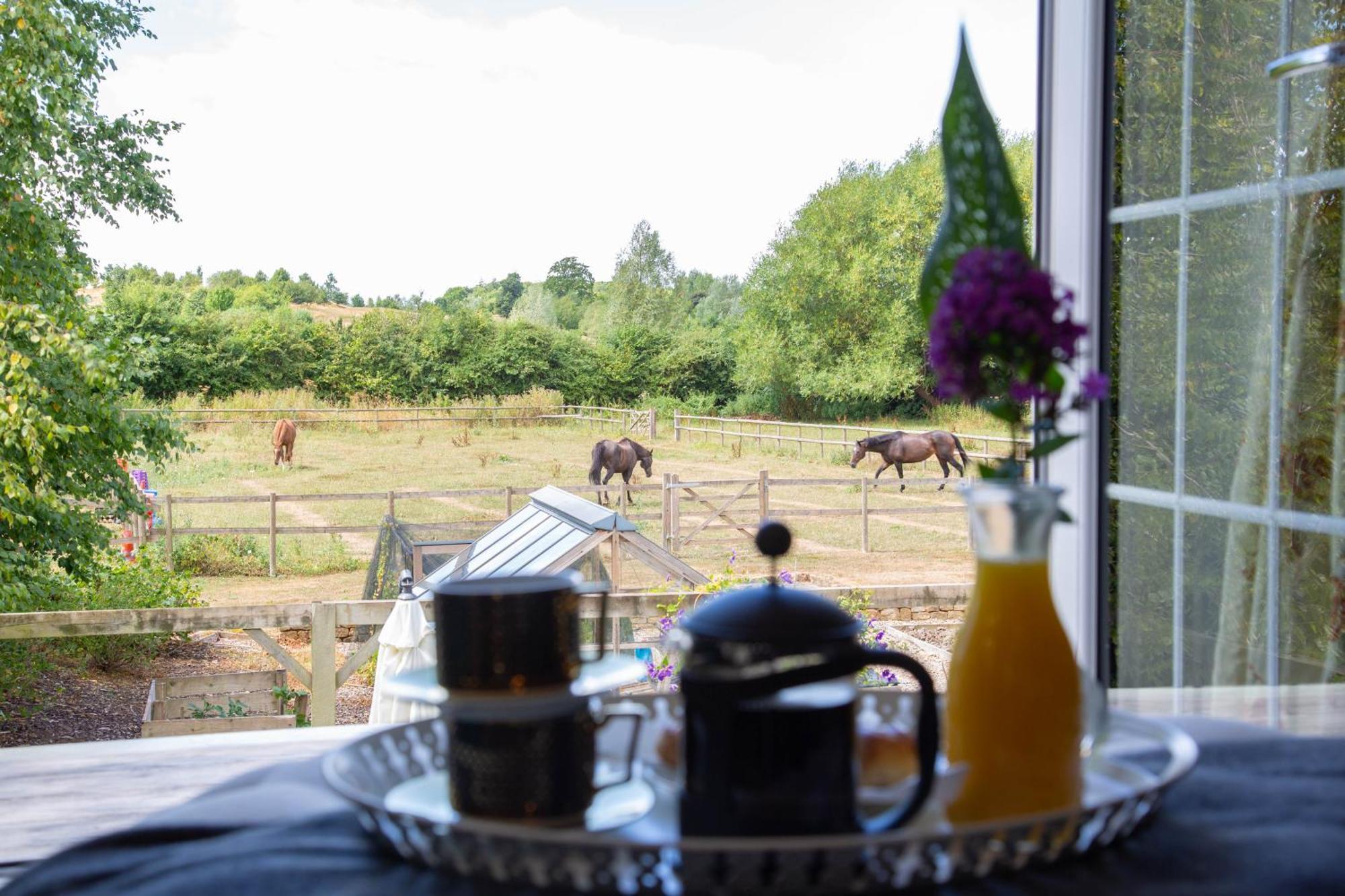 Cherry Orchard Farm South Wraxall Quarto foto